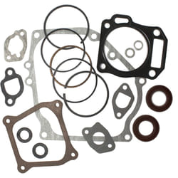 Pièce détachée Kit de joints complet Moteur essence 6,5 CV Strong