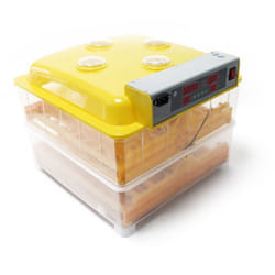 Wiltec Couveuse automatique –