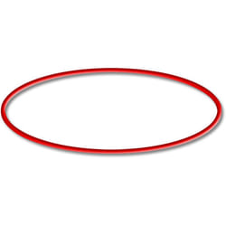 Pièce détachée: Sunsun CSF-500 Filtre de bassin à sable Joint torique 1