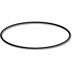 Pièce détachée pour SunSun CSF-500 Filtre de bassin à sable Joint torique 2 Pièce détachée: SunSun CSF-500 Filtre de bassin à ...
