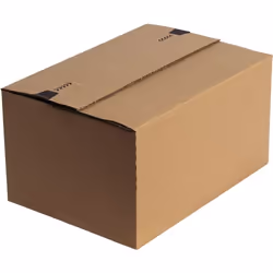 Fellowes 7375001 Emballage Boîte d’emballage Marron 1 pièce(s)