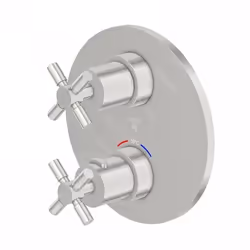 Mitigeur thermostatique encastré - STEINBERG - 250 - 2 sorties - Nickel brossé