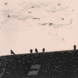 ImportCDs Arrhythmia Vinyl Pop rock