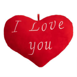 Coussin en forme de cœur - Coussin  brodé 32 cm Oreiller Moelleux I Love You