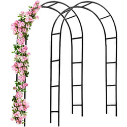 No Brand - Support pour plantes grimpantes noir en métal Arche de jardin Tuteur plantes Décoration extérieure 2x arches de jardin