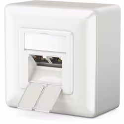 deleyCON MK-MK2166, 2 x RJ-45, Blanc, 80 mm, 80 mm, 10 pièce(s)