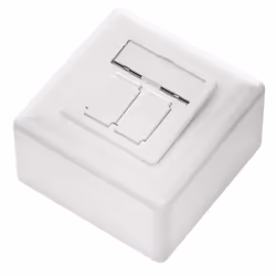 deleyCON MK-MK2166 prise de courant 2 x RJ-45 Blanc
