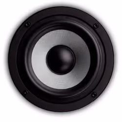 EVE audio SC205 haut-parleur 2-voies Noir, Argent Avec fil 100 W