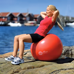SISSEL Ball ballon d'exercice 55 cm Rouge Pleine taille