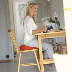 SISSEL SITFIT Plus, Coussin d'équilibre, Rouge, 138 kg, 370 mm, 370 mm, Allemagne