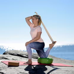 SISSEL 162.066 Brique de yoga