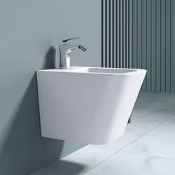 Sogood Bidet Suspendu Blanc Assorti au WC Bidet Mural en Céramique pour Salle de Bains 36x515x36cm Düren112