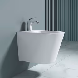 Sogood Bidet Suspendu Blanc Assorti au WC Bidet Mural en Céramique pour Salle de Bains 36x485x36cm Düren108
