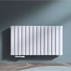 Sogood Radiateur de Salle de Bains Chauffage Central 60 x 108 cm Radiateur à Eau Chaude Double Couches Horizontal Blanc 1189W