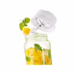 Petra Blender to Go 0,8 L MX 22.05 - Vue supplémentaire 4