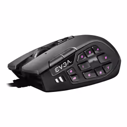 EVGA X15 MMO souris Droitier USB Type-A Optique 16000 DPI
