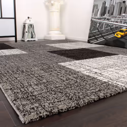 Ces tapis modernes, aux dessins gracieux et élégants, créent une atmosphère chaleureuse et améliore le décor de n'importe que ...