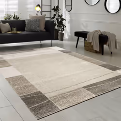 Ce tapis en velours brille non seulement par son aspect, mais aussi par son incroyable rapport qualité-prix. Avec lui, vous e ...