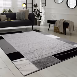 Ce tapis en velours brille non seulement par son aspect, mais aussi par son incroyable rapport qualité-prix. Avec lui, vous e ...