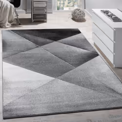 Description générale Ce tapis au design sobre se distingue par ses lignes asymétriques et ses couleurs chinées, offrant une s ...