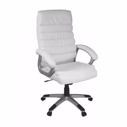 FineBuy Design Chaise bureau Chaise exécutif Ergonomique Chaise de pivotant