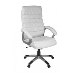 FineBuy Design Chaise bureau Chaise exécutif Ergonomique Chaise de pivotant