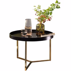 FineBuy Table Basse Bois / Métal ø 585cm Table dappoint Table de salon Rond  [Noir / Or]