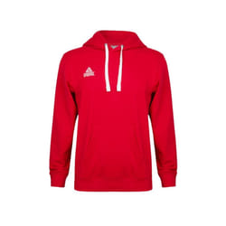 Sweatshirt à capuche Peak élite