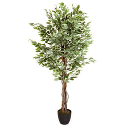 Plante artificielle - hjh OFFICE - FICUS - Vert - Plastique Tissu