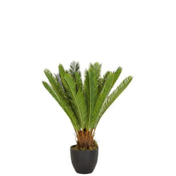 Plante artificielle - hjh OFFICE - CYCAS - Vert - Plastique Tissu