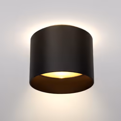Maytoni C009CW-L12B éclairage de plafond LED G