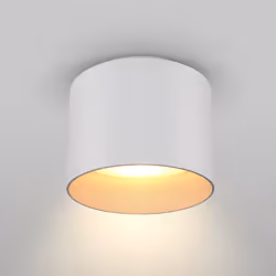 Maytoni C009CW-L12W éclairage de plafond LED G