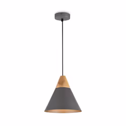 Maytoni P359-PL-220-C, 1 ampoule(s), E27, IP20, Gris