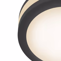 Maytoni DL303-L12B éclairage de plafond LED G