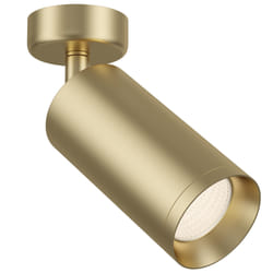 Maytoni C017CW-01MG éclairage de plafond GU10