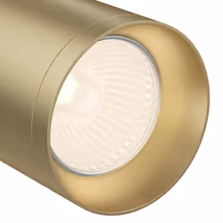Maytoni C017CW-01MG éclairage de plafond GU10