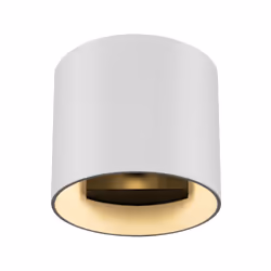 Maytoni C066WL-01W éclairage mural Adapté à une utilisation à l'intérieur Adapté à une utilisation extérieure G9 50 W