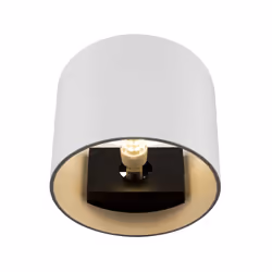 Maytoni C066WL-01W éclairage mural Adapté à une utilisation à l'intérieur Adapté à une utilisation extérieure G9 50 W