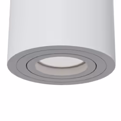 Maytoni C016CL-01W éclairage de plafond GU10