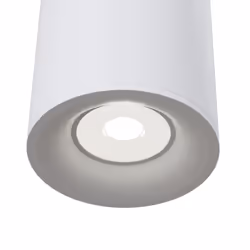 Maytoni C012CL-01W éclairage de plafond GU10