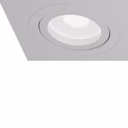 Maytoni DL024-2-03W éclairage de plafond GU10