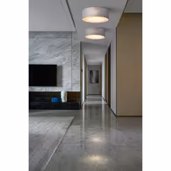 Maytoni MOD613CL-04GR éclairage de plafond Gris E27