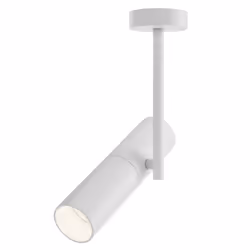 Maytoni C020CL-01W éclairage de plafond GU10