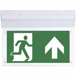 Luminaire de secours, L-LUX STANDARD ECO, modèle sur accumulateur NiCd 3,6 V / 0,9 Ah. Produit livré = prémonté, montage fina ...