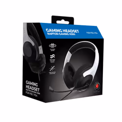 Raptor Gaming RG-H300-W Noir, Blanc