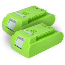 Vhbw - 2x Batteries compatible avec Greenworks 2400007, G24 Sweeper, G24, 24352 outil électrique (2000 mAh, Li-ion, 24 v)