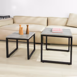 SoBuy FBT42-HG Table à café, latérale et de salon