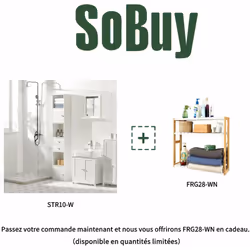 Meuble Colonne de Salle de Bain Une solution simple pour optimiser le rangement dans votre salle de bain. Idéal pour être pla ...