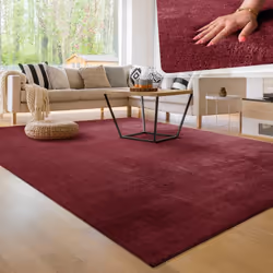 Quel confort;: là où d'autres tapis nécessitent des motifs compliqués et des designs bigarrés pour se démarquer, ces chaleure ...