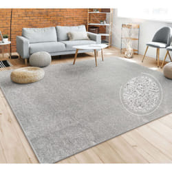 Paco Home Tapis Salon Uni Sobre Et Moderne Poils Ras, Diff. Tailles/Coloris Argent, 120 cm rond